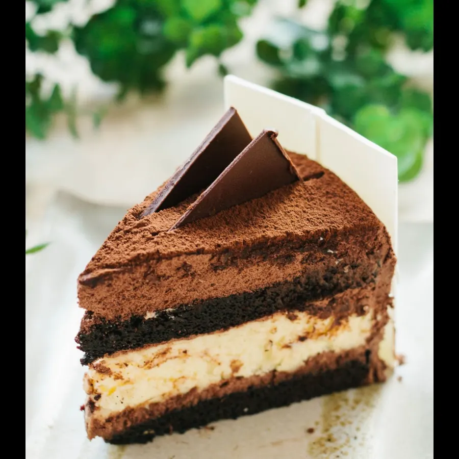 A slice of chocolate cake with a cream cheese layer, dusted with cocoa and topped with a dark chocolate shard